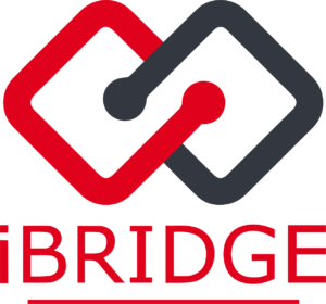 ibridge Vertical logo